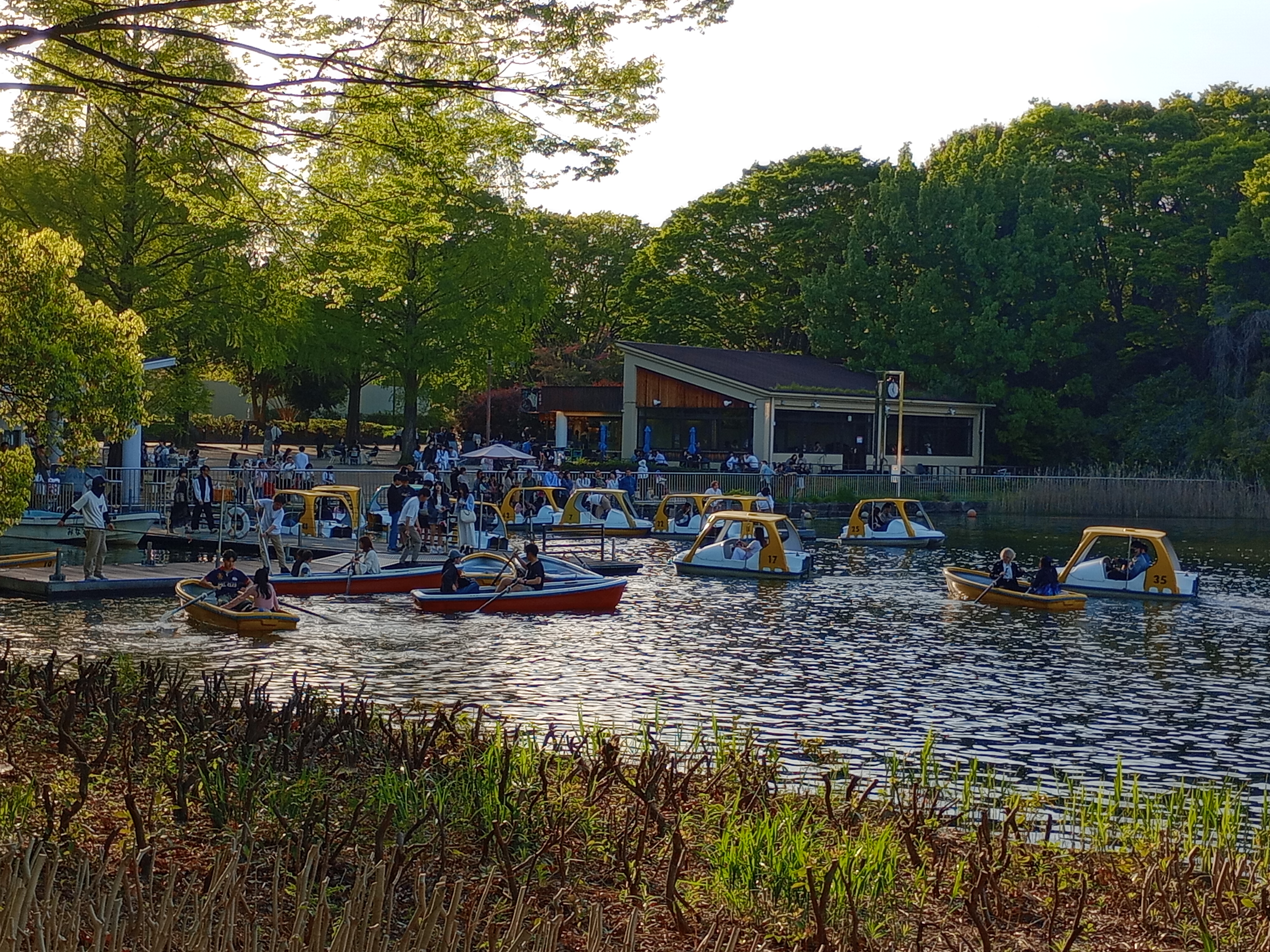 Exploring the Wonders of Showa Kinen Park 🌿🇯🇵