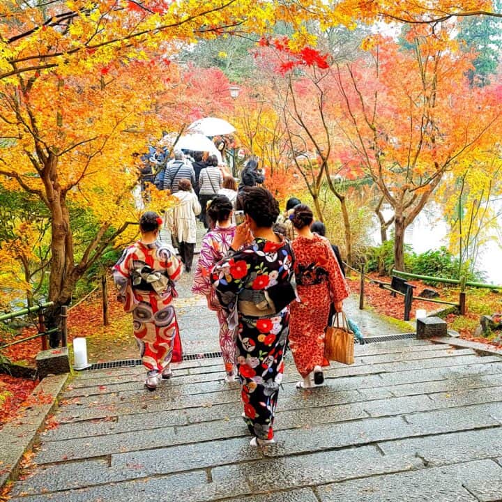 First-Time Travel Tips for Japan 🇯🇵
