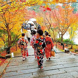 First-Time Travel Tips for Japan 🇯🇵