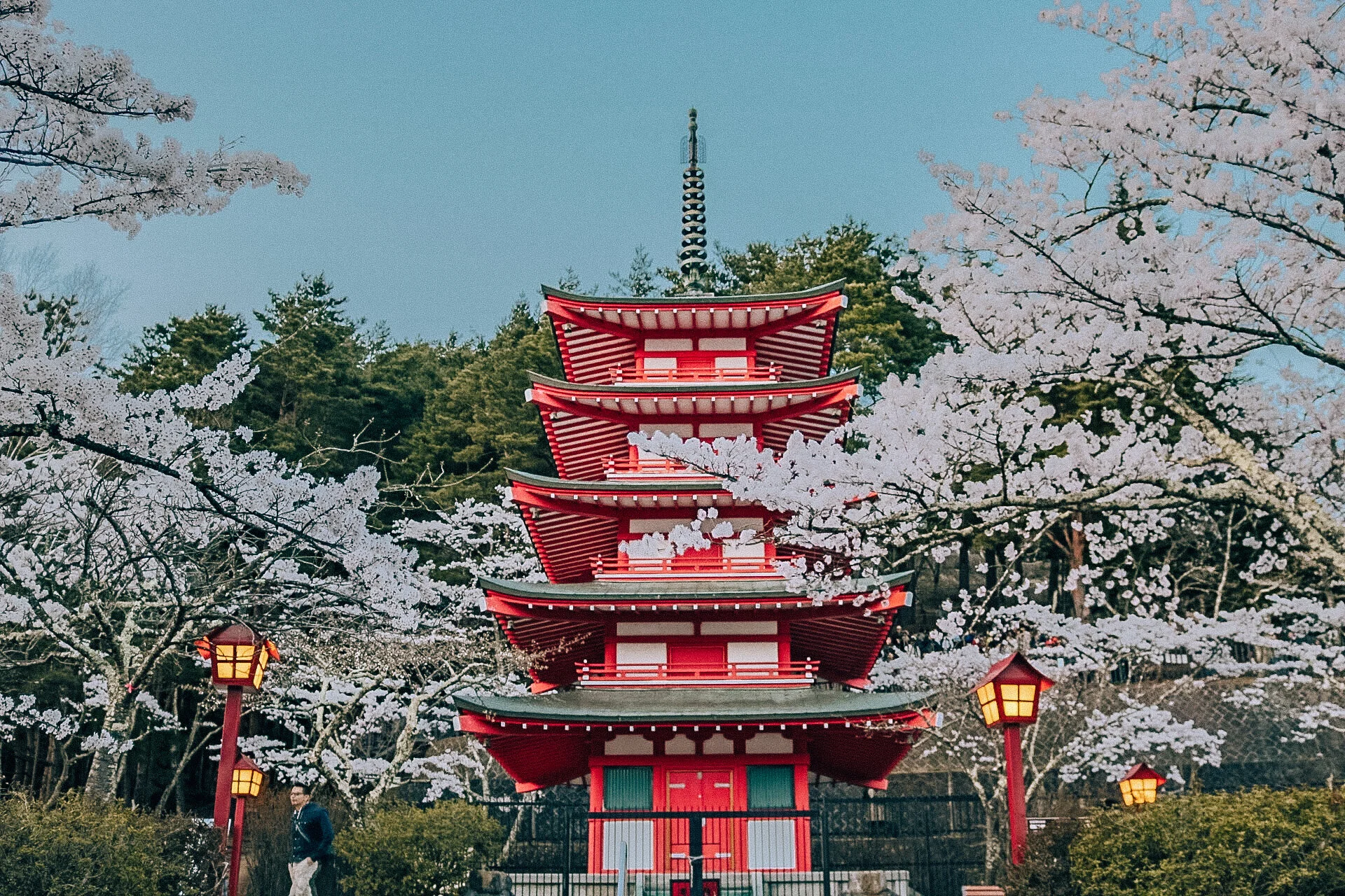 First-Time Travel Tips for Japan 🇯🇵