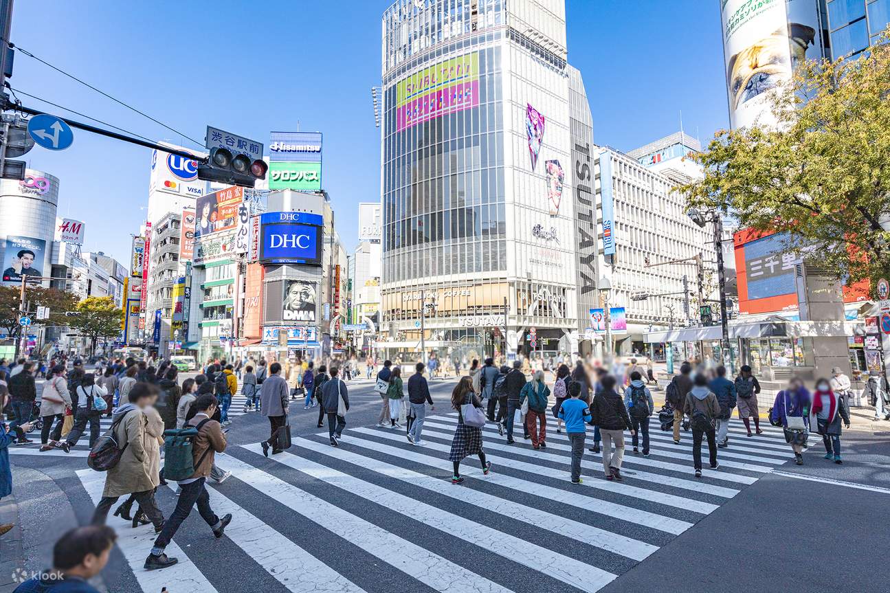 Tour Guide Services by Tokyo Volunteer Guides
