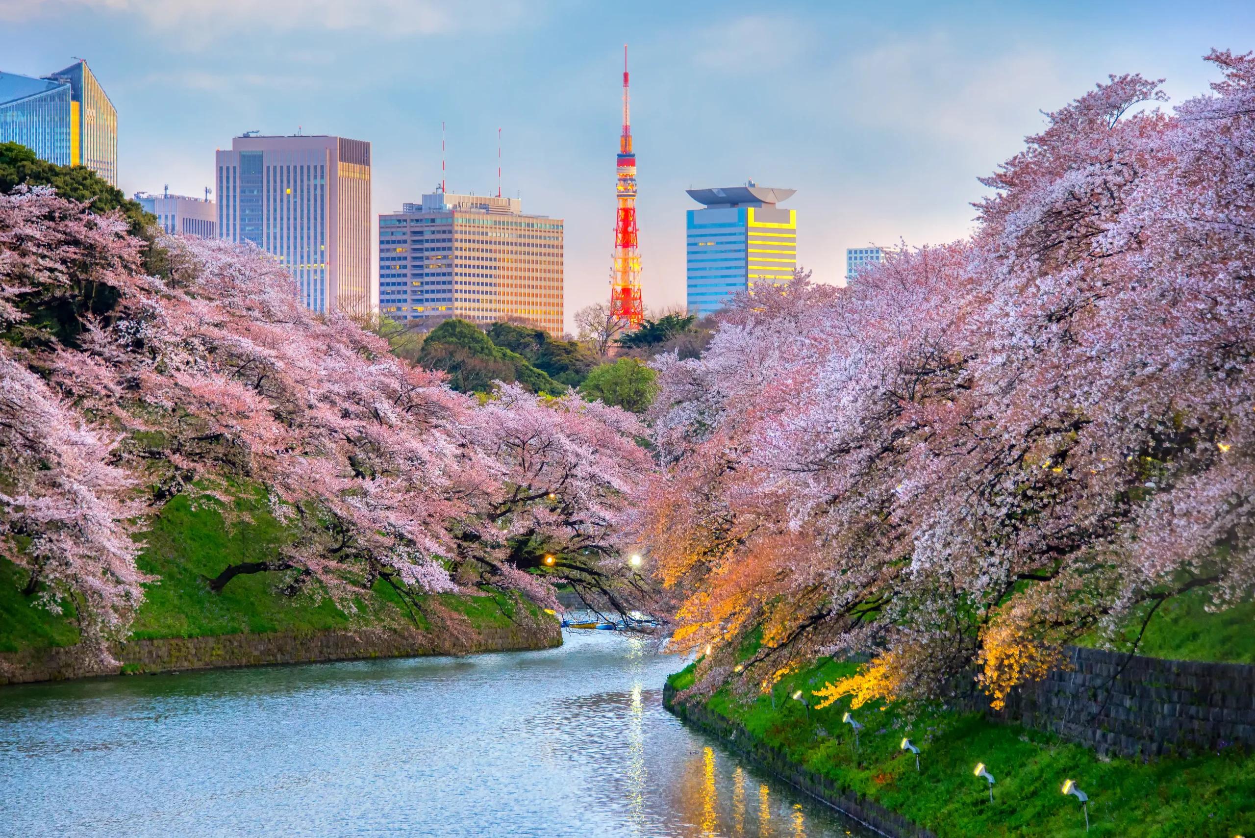 Japan Through the Seasons: The Ultimate Seasonal Travel Guide