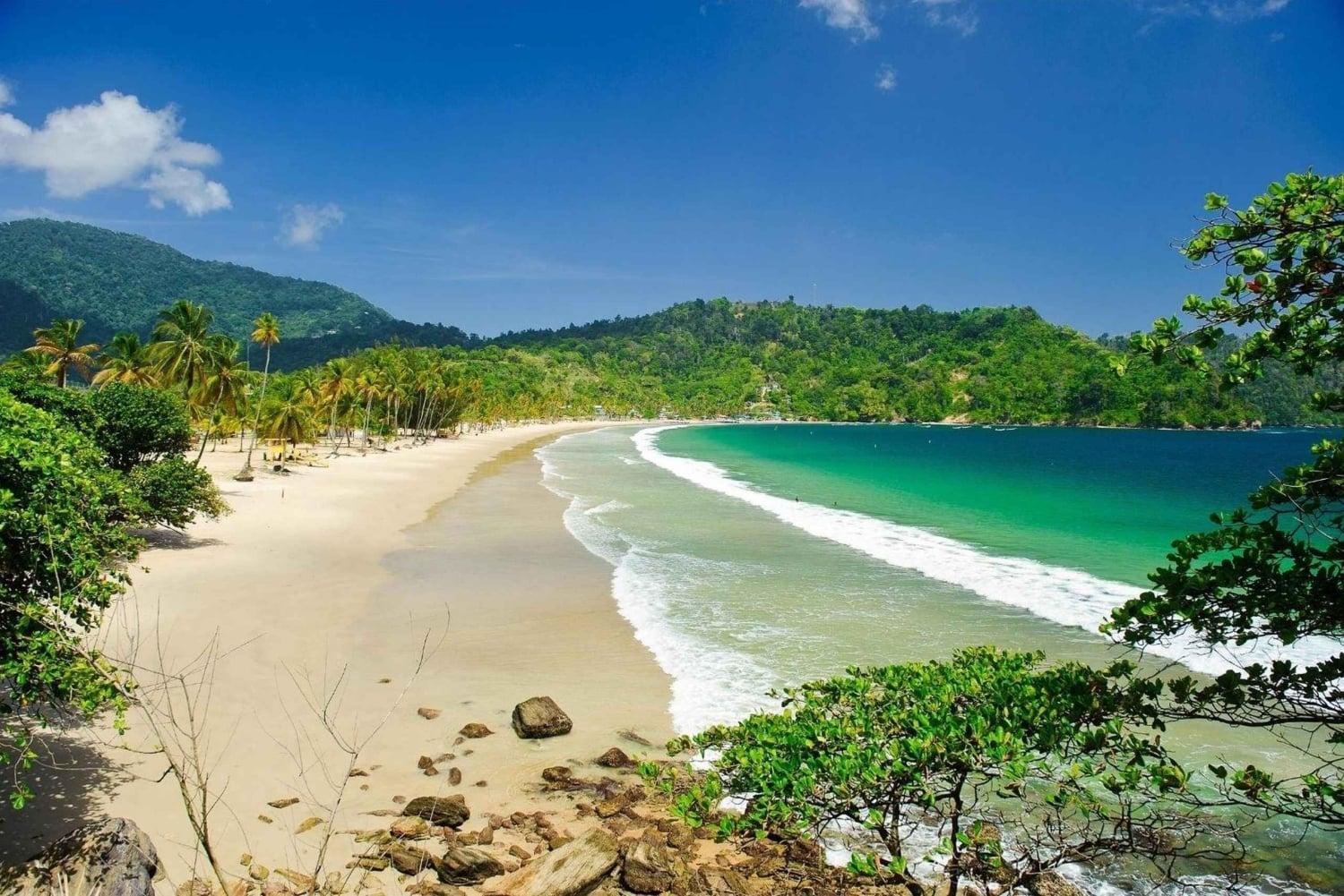 Caribbean Travel Budget Breakdown: 8 Affordable Caribbean Destinations for 2026