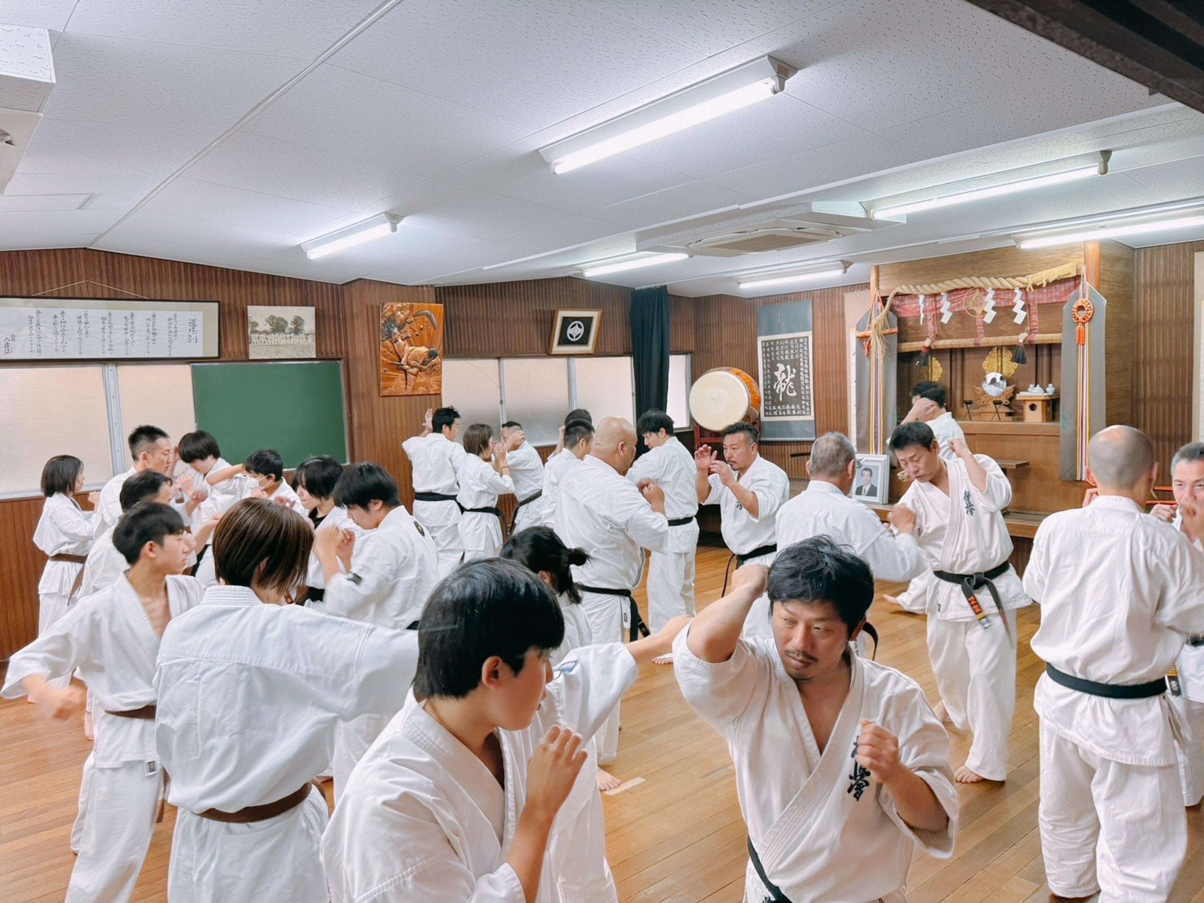 Japan Martial Arts Travel Guide: Where to Experience Karate, Judo, Kendo & More