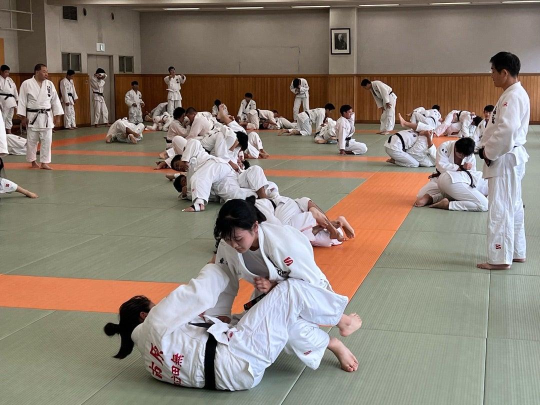 Japan Martial Arts Travel Guide: Where to Experience Karate, Judo, Kendo & More