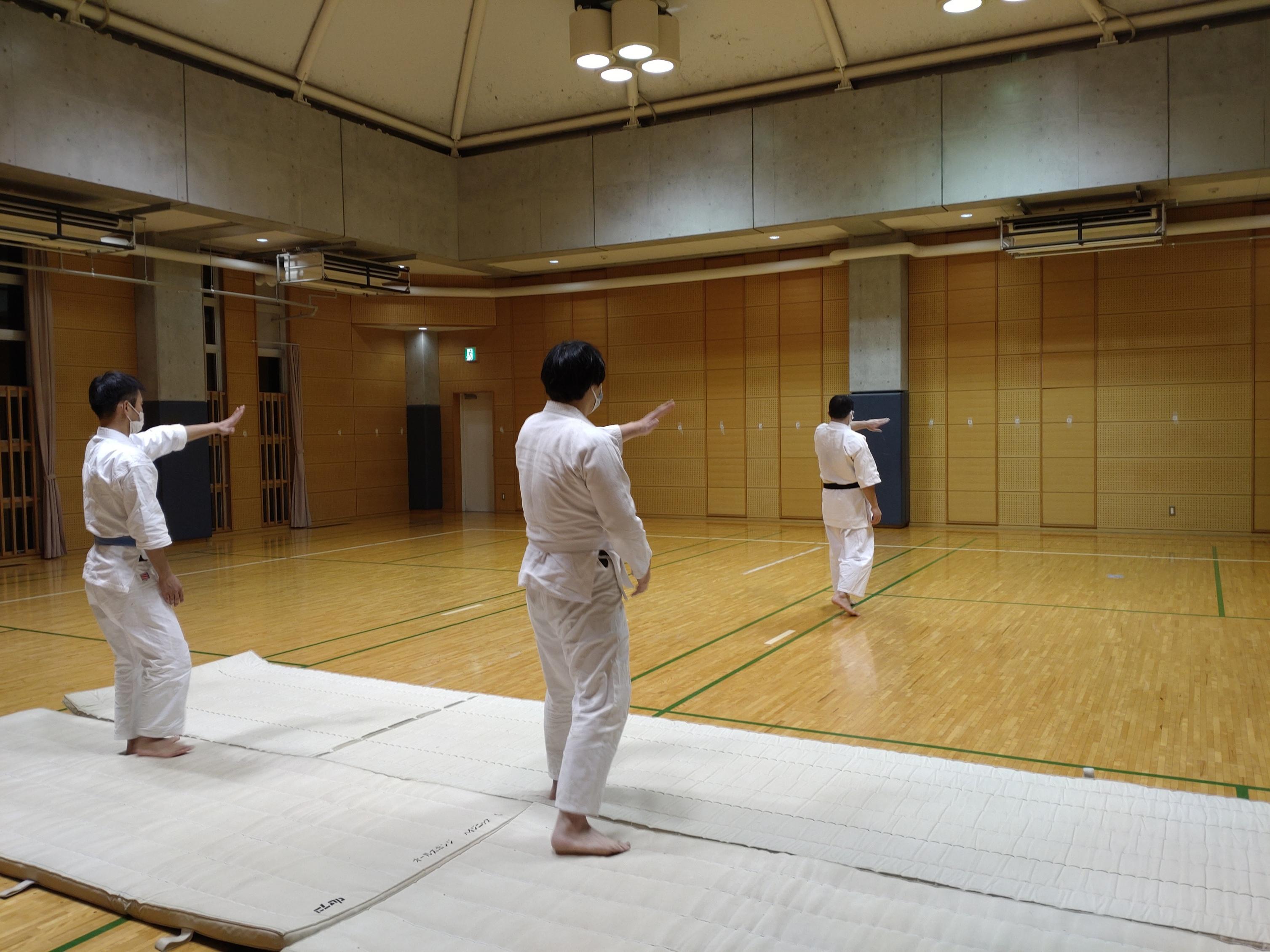 Japan Martial Arts Travel Guide: Where to Experience Karate, Judo, Kendo & More