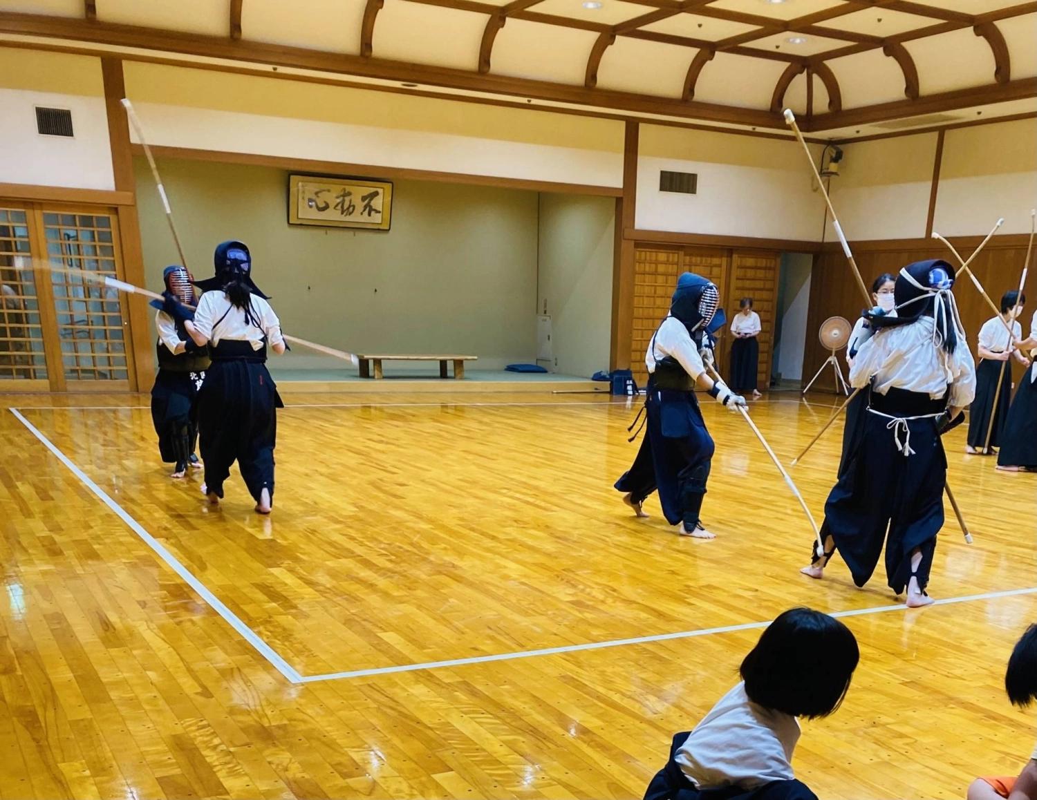 Japan Martial Arts Travel Guide: Where to Experience Karate, Judo, Kendo & More