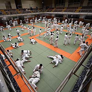 From Tokyo to Okinawa: 10 Martial Arts Experiences Every Traveler Should Try in Japan
