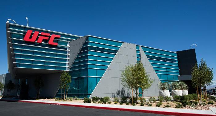 MMA Travel Guide: 10 Cities Where Combat Sports Culture Is Thriving