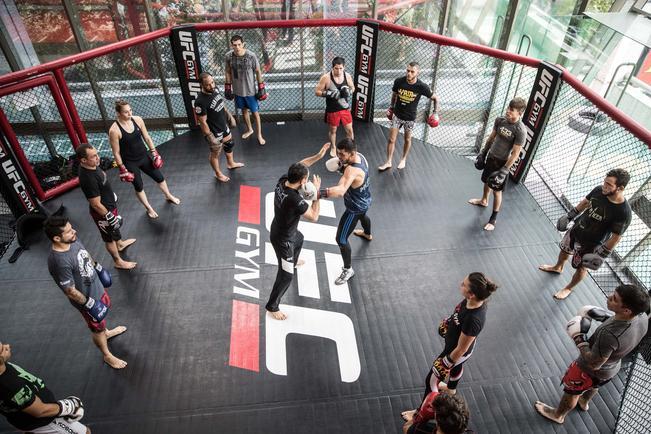 MMA Travel Guide: 10 Cities Where Combat Sports Culture Is Thriving