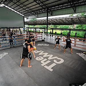 Martial Arts Tourism: How to Plan the Ultimate Combat Sports Vacation
