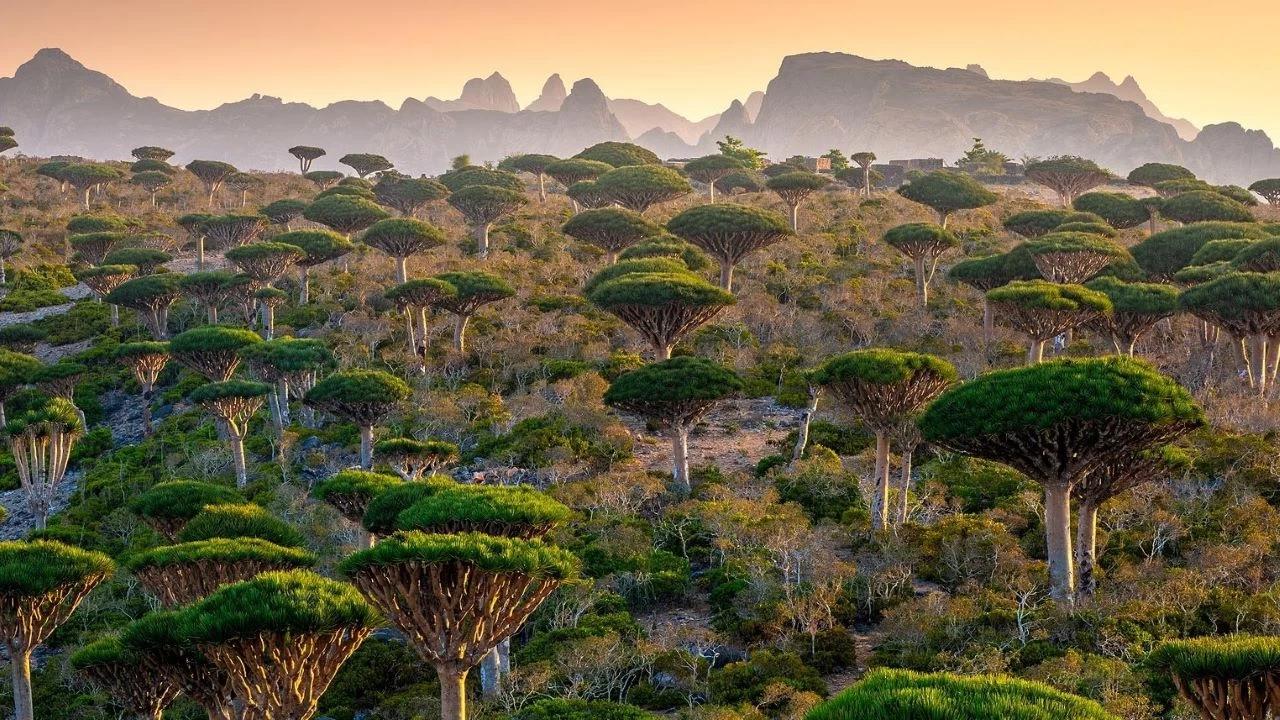 10 Rare Travel Experiences Around the World You Need on Your Bucket List