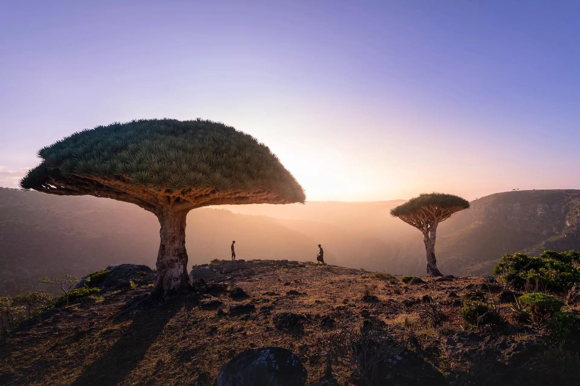 10 Rare Travel Experiences Around the World You Need on Your Bucket List