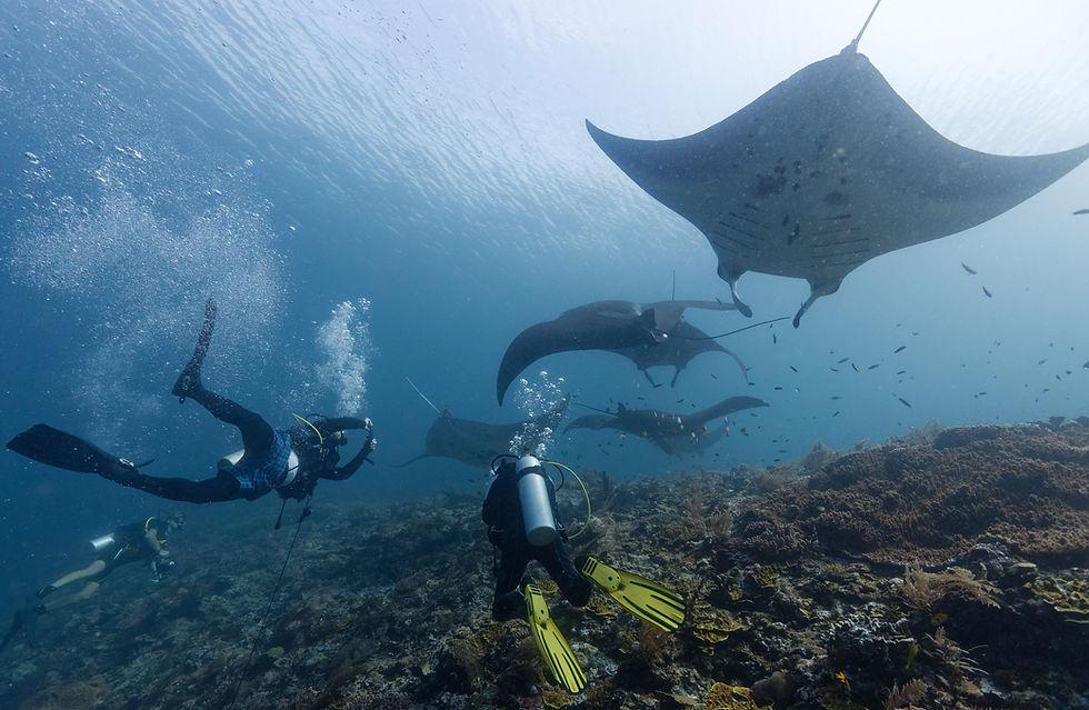10 Rare Travel Experiences Around the World You Need on Your Bucket List