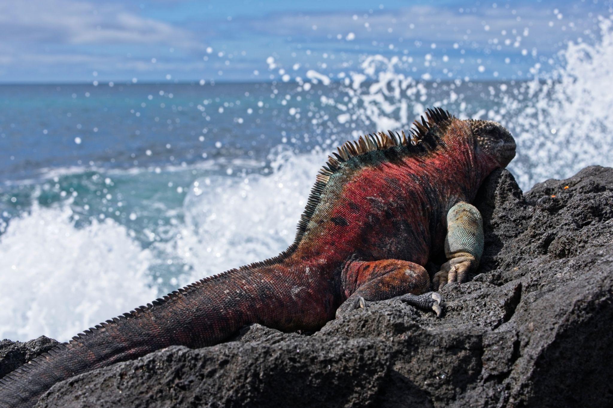 10 Rare Travel Experiences Around the World You Need on Your Bucket List