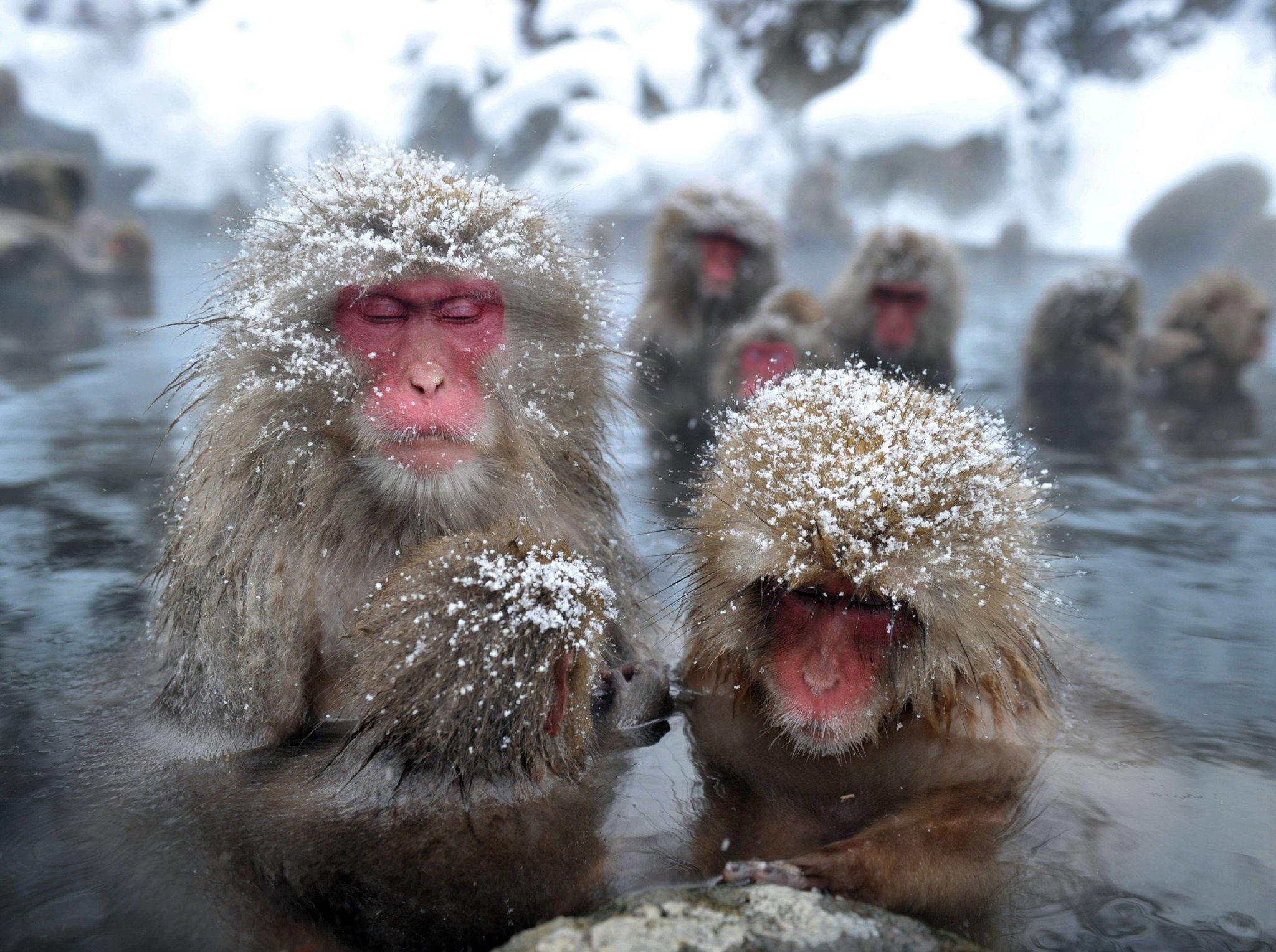 10 Rare Travel Experiences Around the World You Need on Your Bucket List