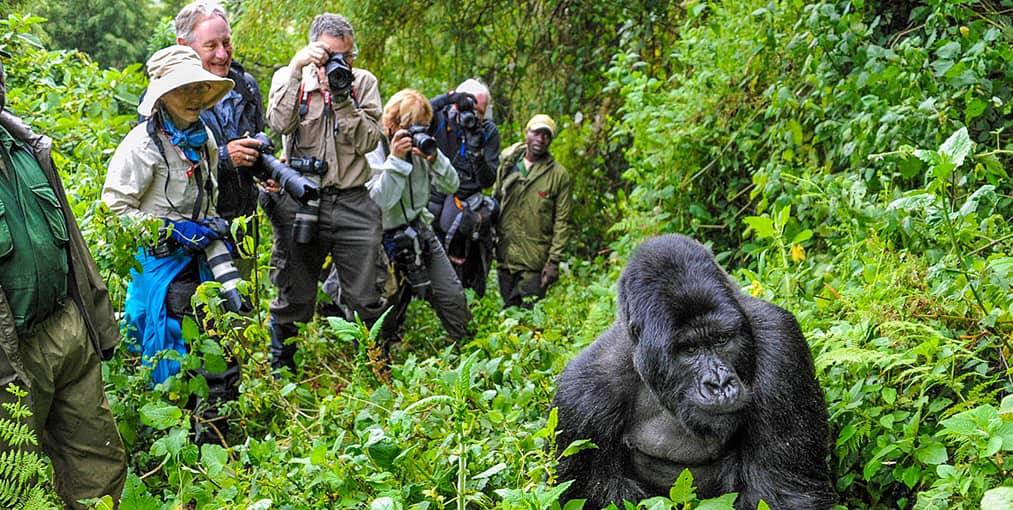 10 Places Around the World to See Rare Wildlife in the Wild
