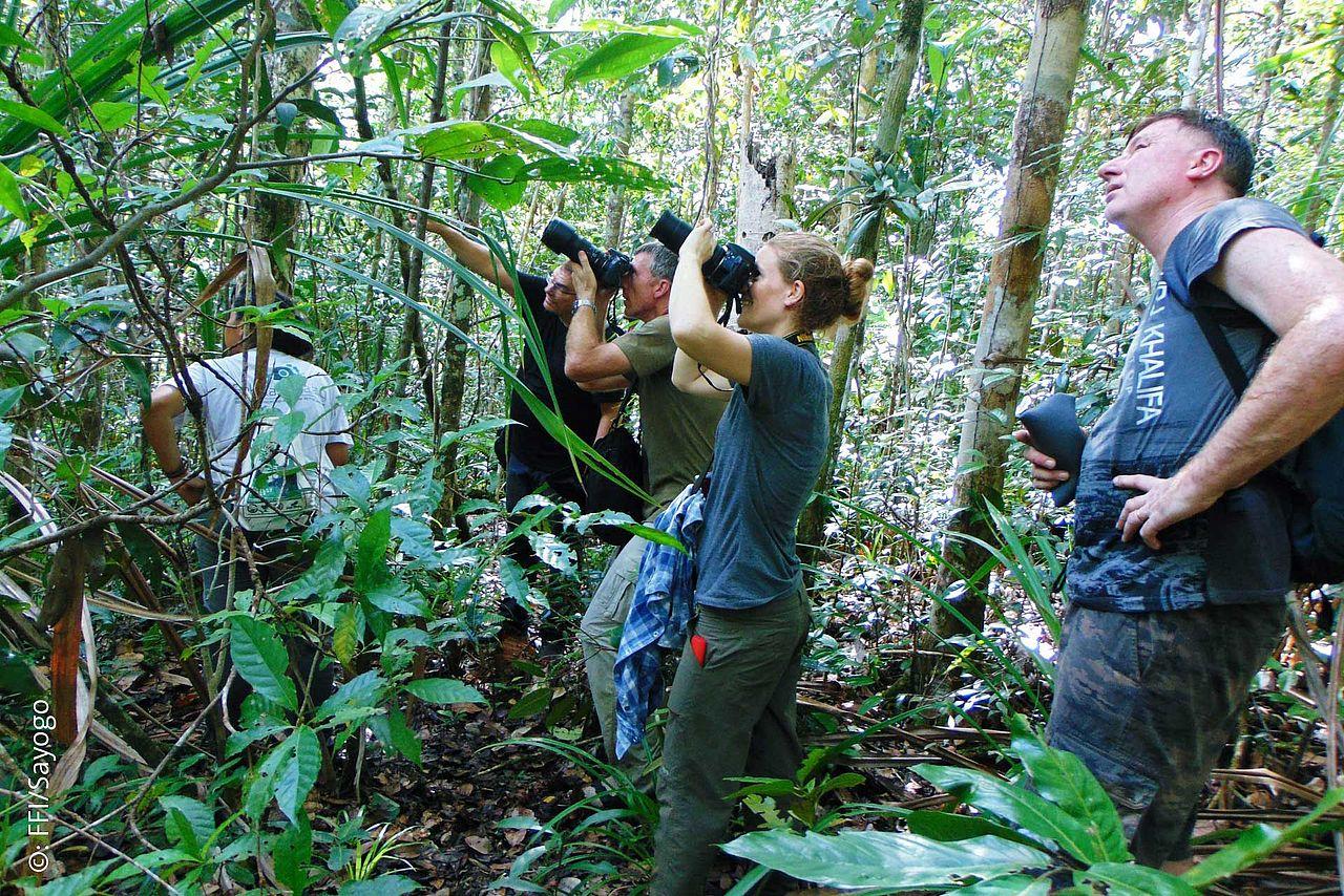 10 Places Around the World to See Rare Wildlife in the Wild