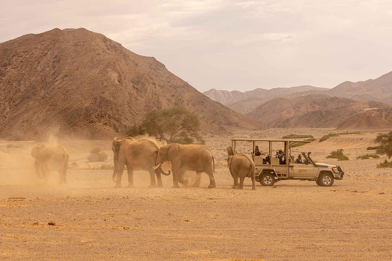 10 Places Around the World to See Rare Wildlife in the Wild