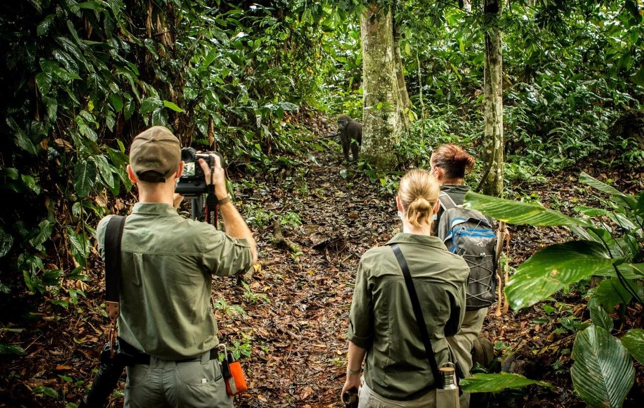 10 Places Around the World to See Rare Wildlife in the Wild