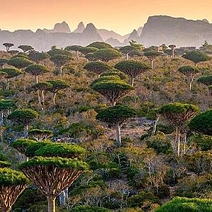 Chasing Rare Natural Wonders: 10 Incredible Places to See Before You Die