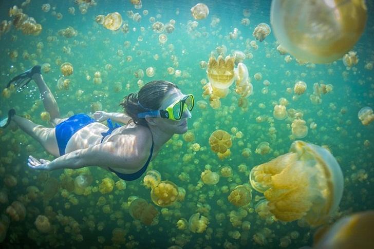 Chasing Rare Natural Wonders: 10 Incredible Places to See Before You Die