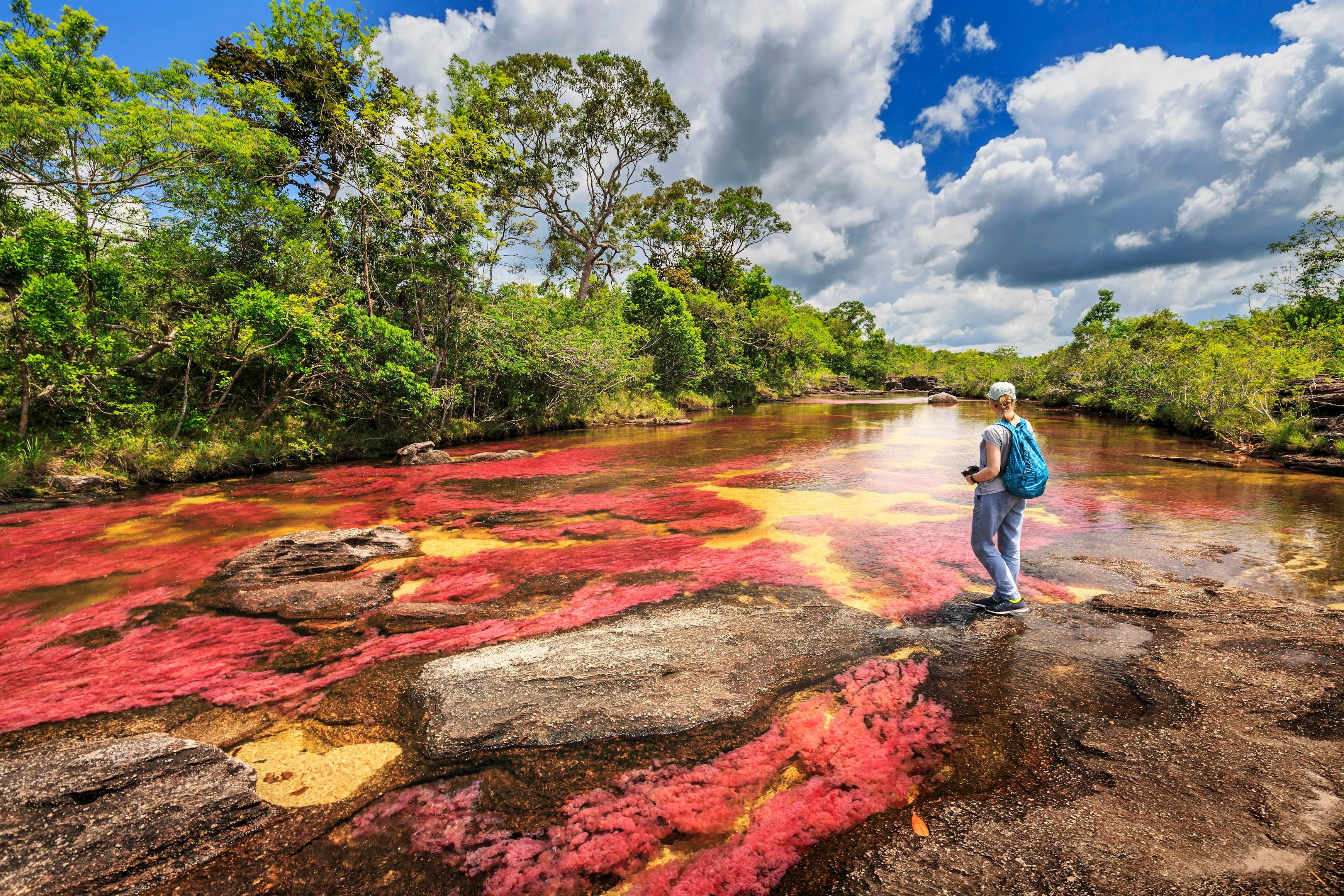 Chasing Rare Natural Wonders: 10 Incredible Places to See Before You Die