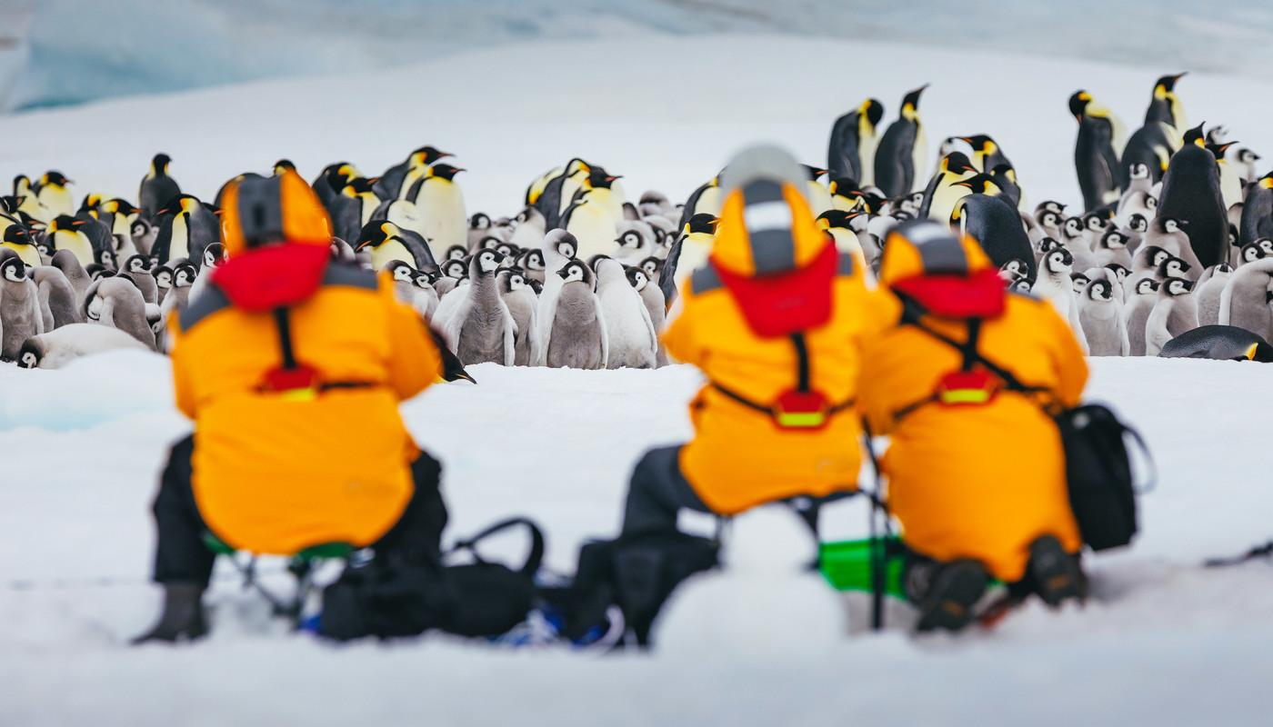 World’s Rarest Animal Encounters: 10 Bucket-List Trips for Wildlife Lovers