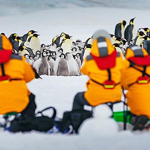 World’s Rarest Animal Encounters: 10 Bucket-List Trips for Wildlife Lovers
