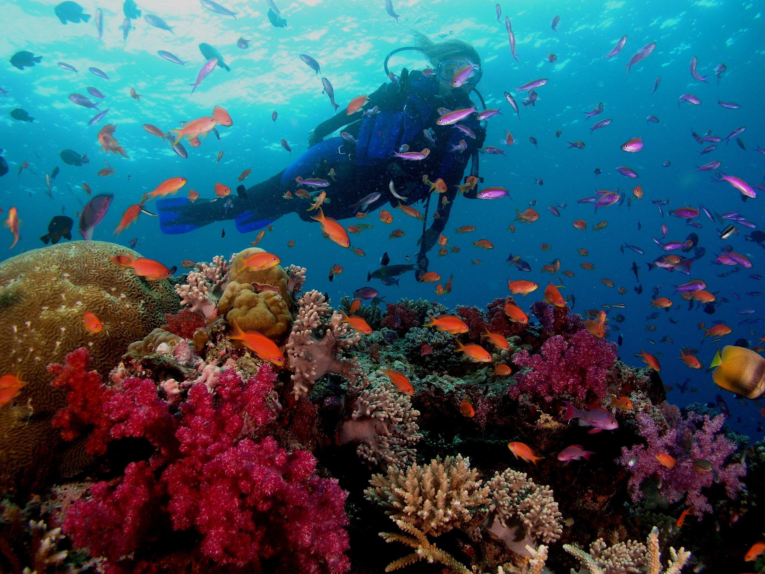 10 Once-in-a-Lifetime Travel Experiences Worth Flying Around the World For
