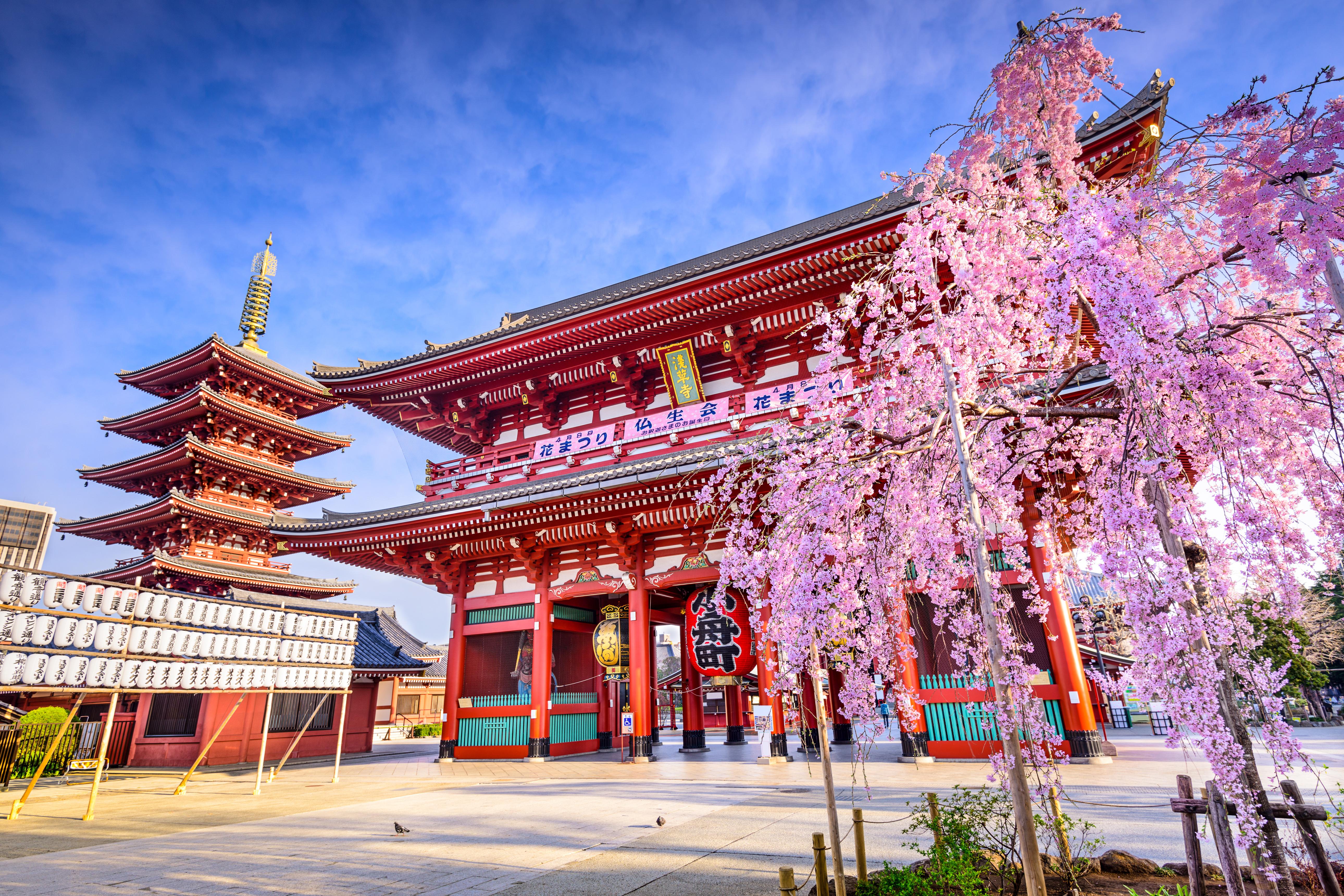 10 Once-in-a-Lifetime Travel Experiences Worth Flying Around the World For