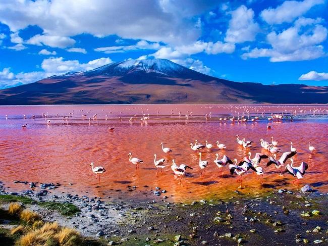 Chasing the World’s Most Unusual Sights: 10 Places Few Travelers Ever See