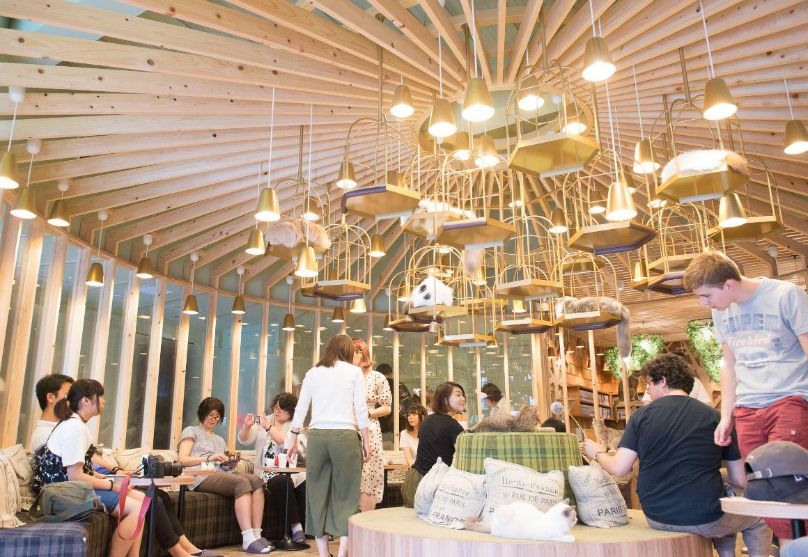 10 Most Unique Cafés in the World You Need to Visit Once